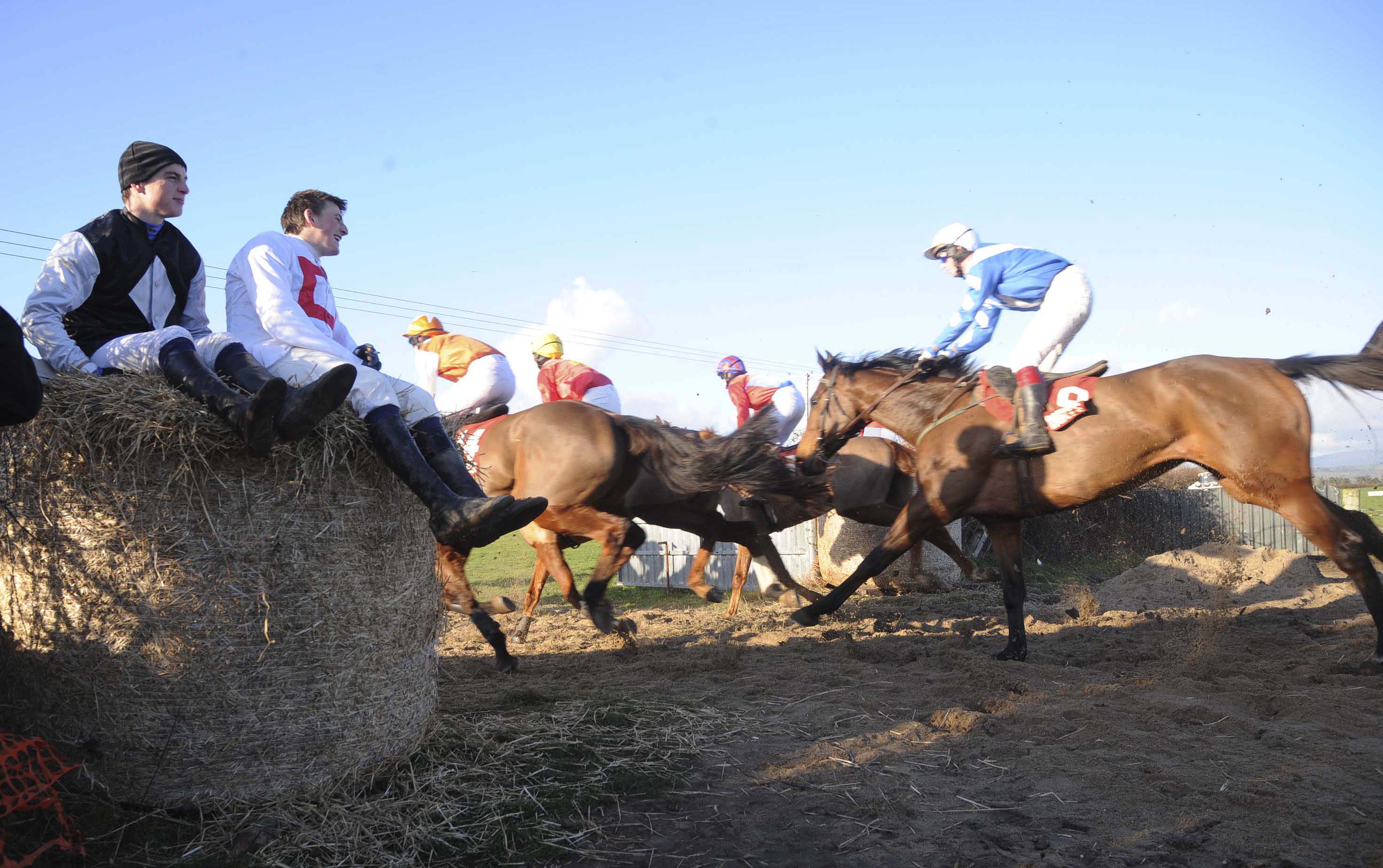 p2p the irish point to point website